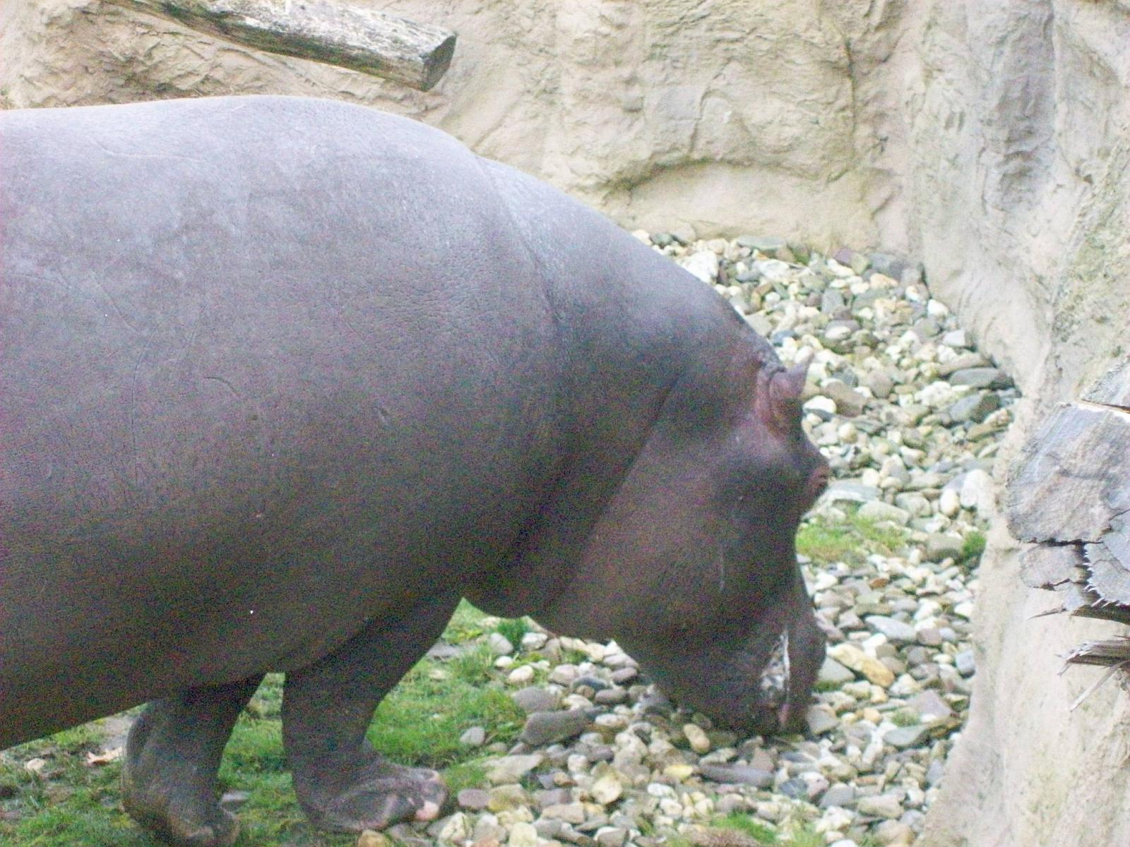 Zoom 18.10.2008-187.jpg